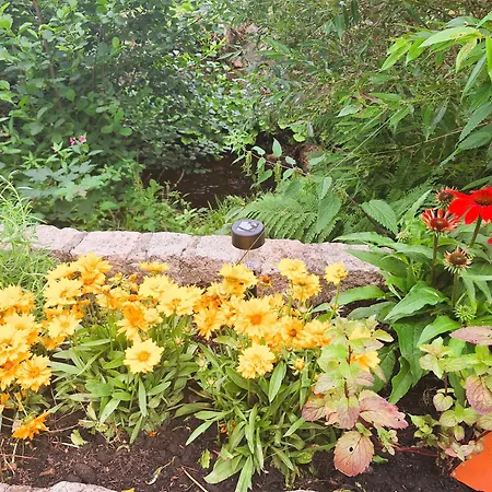 An Der Bode - Schicke 3 Zi Mit Balkon شقة