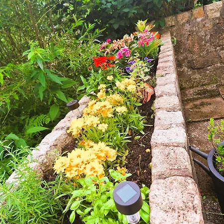 An Der Bode - Schicke 3 Zi Mit Balkon *