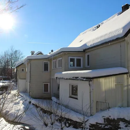 An Der Bode - Schicke 3 Zi Mit Balkon Braunlage